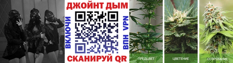 Наркошоп купить МДМА Меф Кокаин Альфа ПВП Гашиш Кодеин Бошки Шишки Бутурлиновка