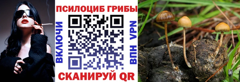 Купить где  Бутурлиновка  Псилоцибиновые грибы мухоморы 